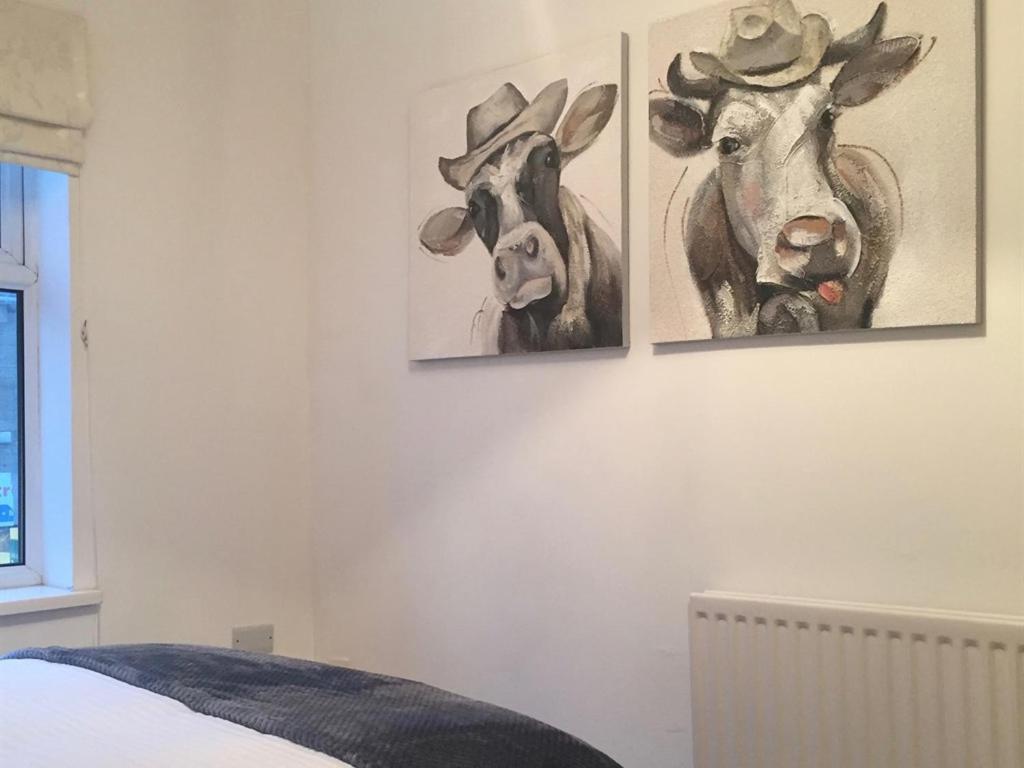 Durham Serviced Properties - The Sanctuary Room photo